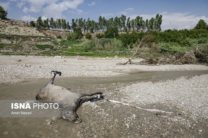تصاویر| شهرستان باغملک پس از سیل در خوزستان