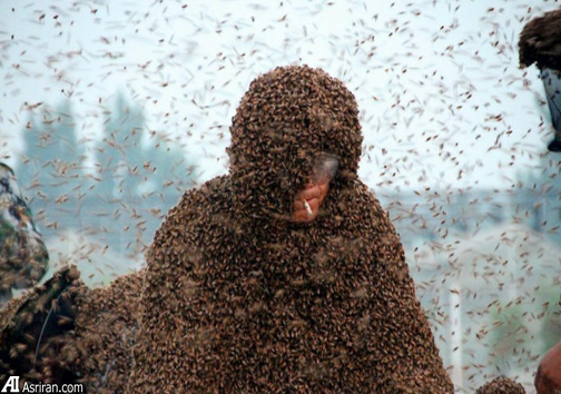 رکوردشکنی زنبوردار چینی +عکس