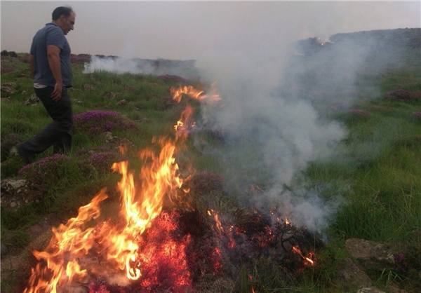 آتش‌سوزی 6 بوته گون در پارک ملی لار + تصاویر