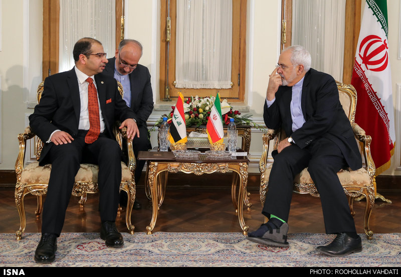 تصاویر/ دیدار رییس مجلس عراق با محمد جواد ظریف