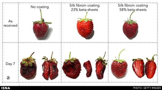 ابداع روشی جدید برای تازه نگه داشتن میوه
