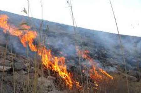 آتش سوزی درجنگل و مرتع کوه کول چپ منطقه کرکی پلدختر