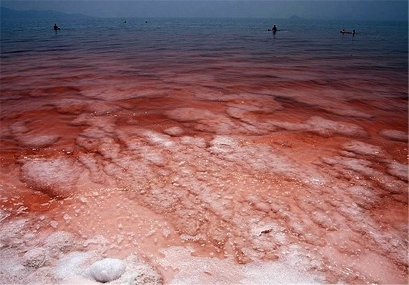 علت قرمز شدن سطح آب دریاچه ارومیه در روزهای اخیر