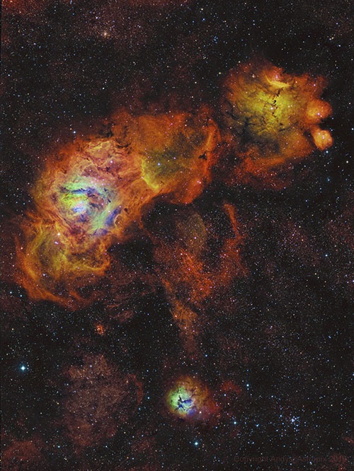 گل‌های آفتابگردان در فضا/عکس روز ناسا