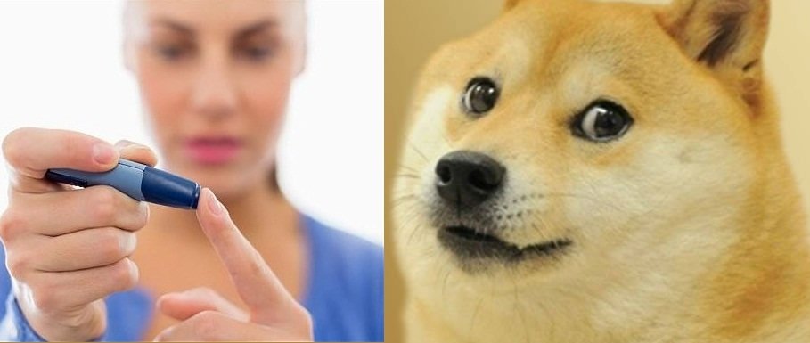 آزمایش قند خون از روی تنفس با کمک سگ‌ها