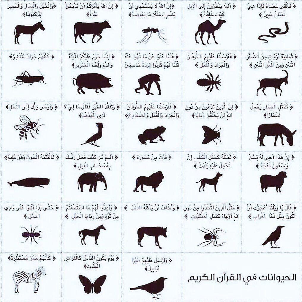 اینفوگرافی / حیواناتی که نامشان در قرآن ذکر شده