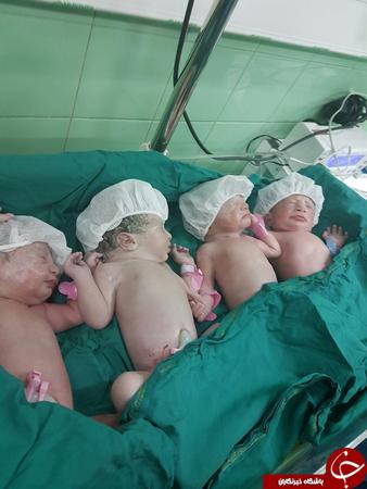 تولد نوزادان چهار قلو قمی +تصاویر