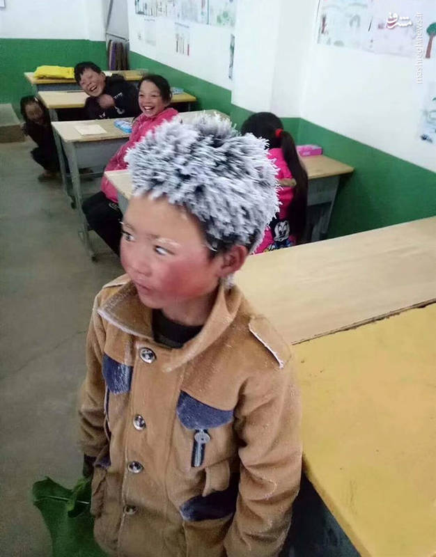 دانش‌آموزی که در راه مدرسه یخ زد!/عکس