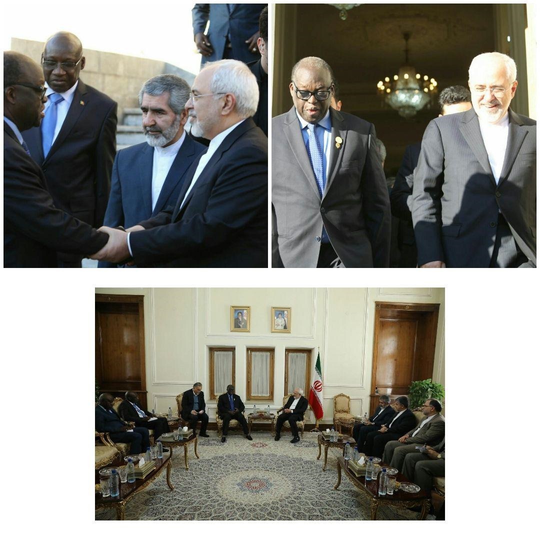 دیدار رئیس مجلس سنگال با ظریف+ عکس