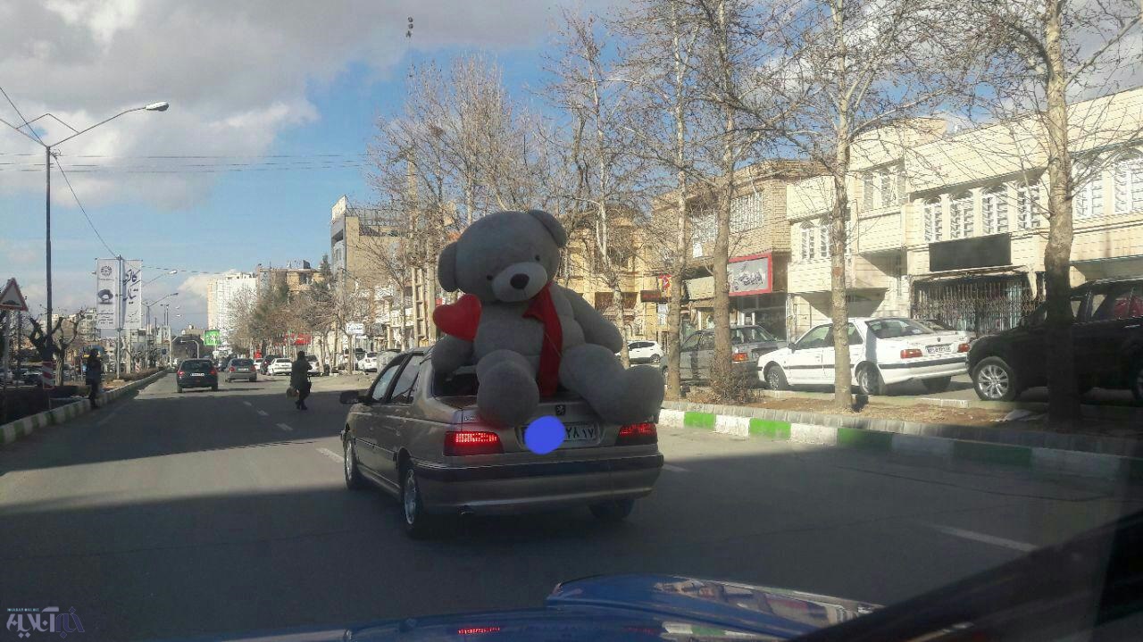 حمل عجیب کادوی روز ولنتاین در ارومیه / عکس