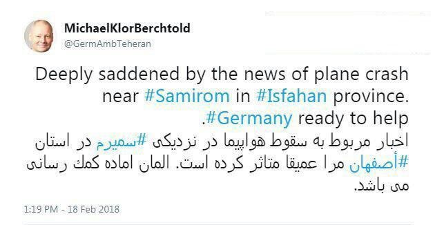 توئیت سفیر آلمان برای سقوط هواپیما/عکس