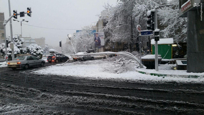 عکس/ خم شدن چراغ برق بر اثر بارش برف در تهران