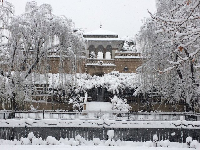توئیت سفارت فرانسه درباره برف تهران/عکس