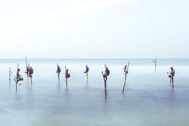 عکس/ روش خاص ماهیگیران سریلانکایی در عکس روز نشنال جئوگرافیک