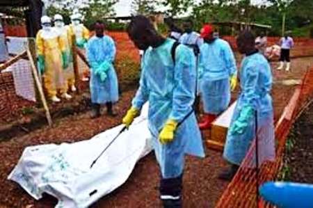 شیوع مجدد ابولا در جمهوری دم</div></noscript>
<div id=