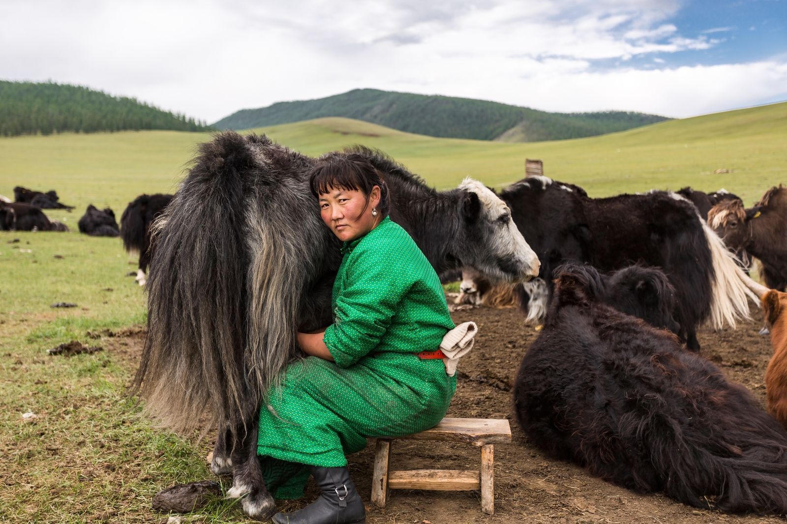 عکس/ زندگی روستایی زن مغول از نگاه نشنال جئوگرافیک