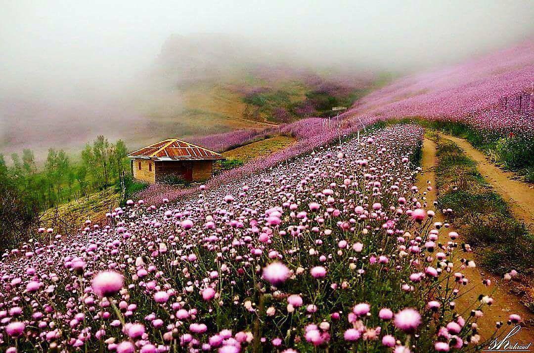 کوه‌های زیبای تالش/تصویر