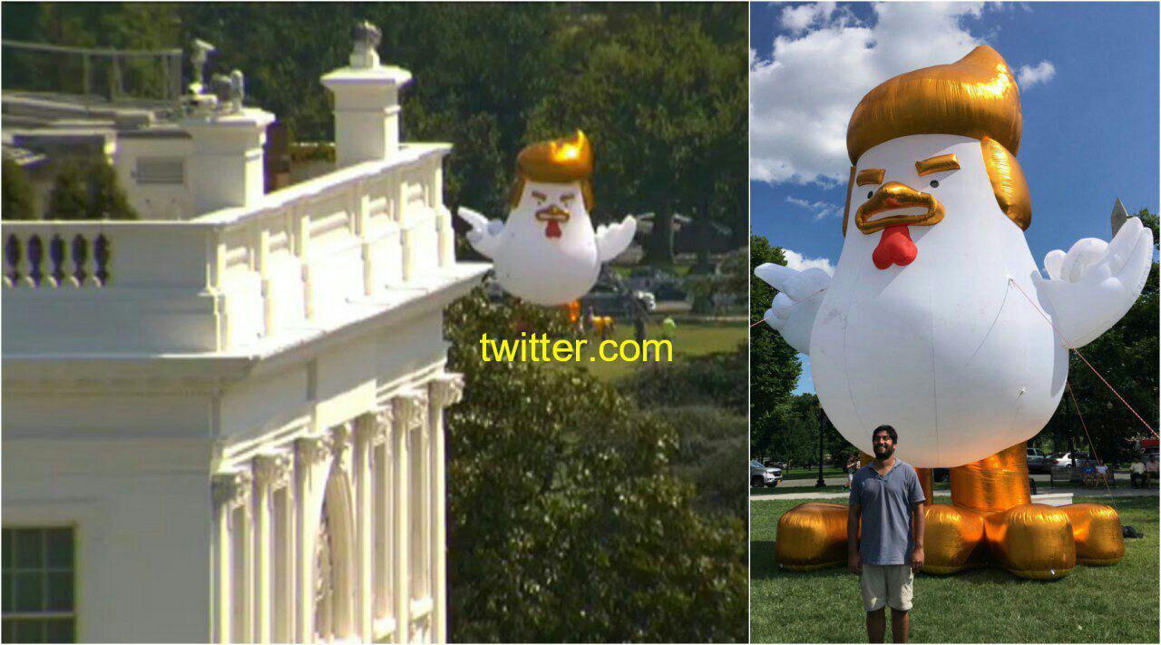 ترامپ در نقش خروس بر بام کاخ سفید+تصاویر