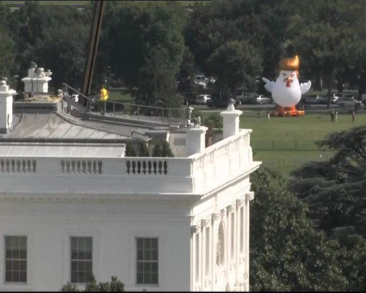 ترامپ در نقش خروس بر بام کاخ سفید+تصاویر