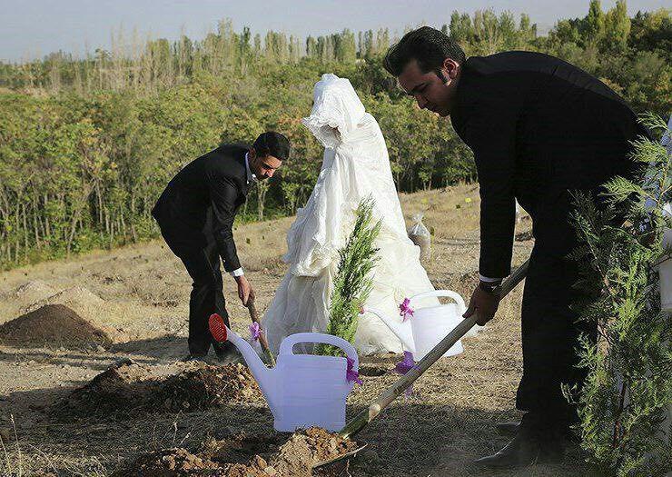 مهریه عجیب، عروس و داماد را به بیابان کشاند/عکس