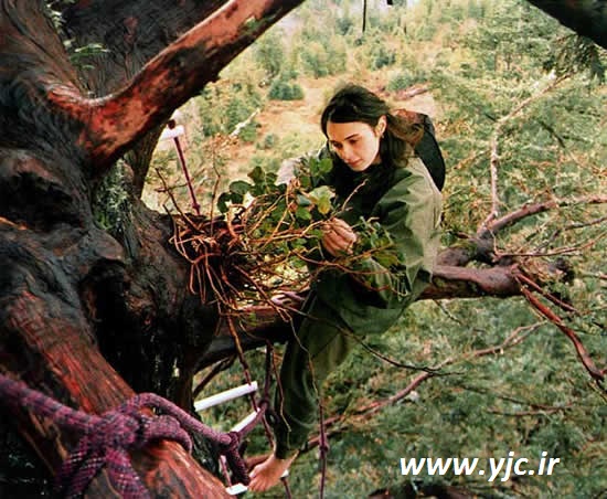 دوسال زندگی دختری روی درخت +عکس