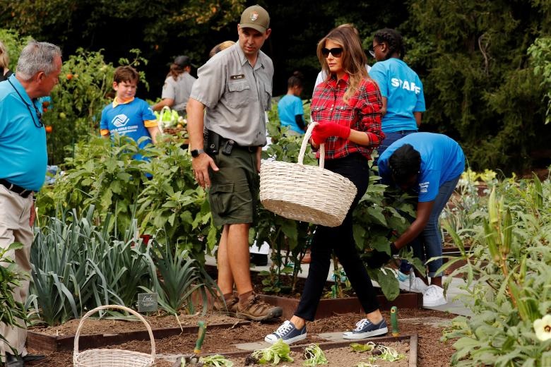 باغبانی همسر ترامپ در کاخ سفید