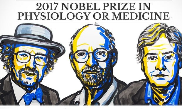 نوبل پزشکی به 3 دانشمند آمریکایی تعلق گرفت+عکس