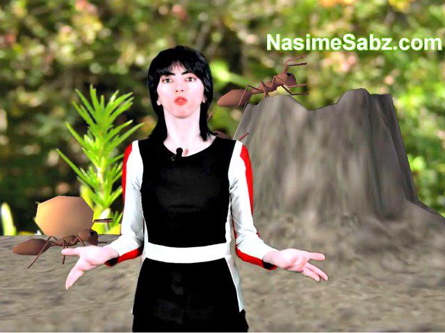 نسیم نجفی؛ از حذف در یوتیوپ تا شب خونین سن برونو!/تصاویر