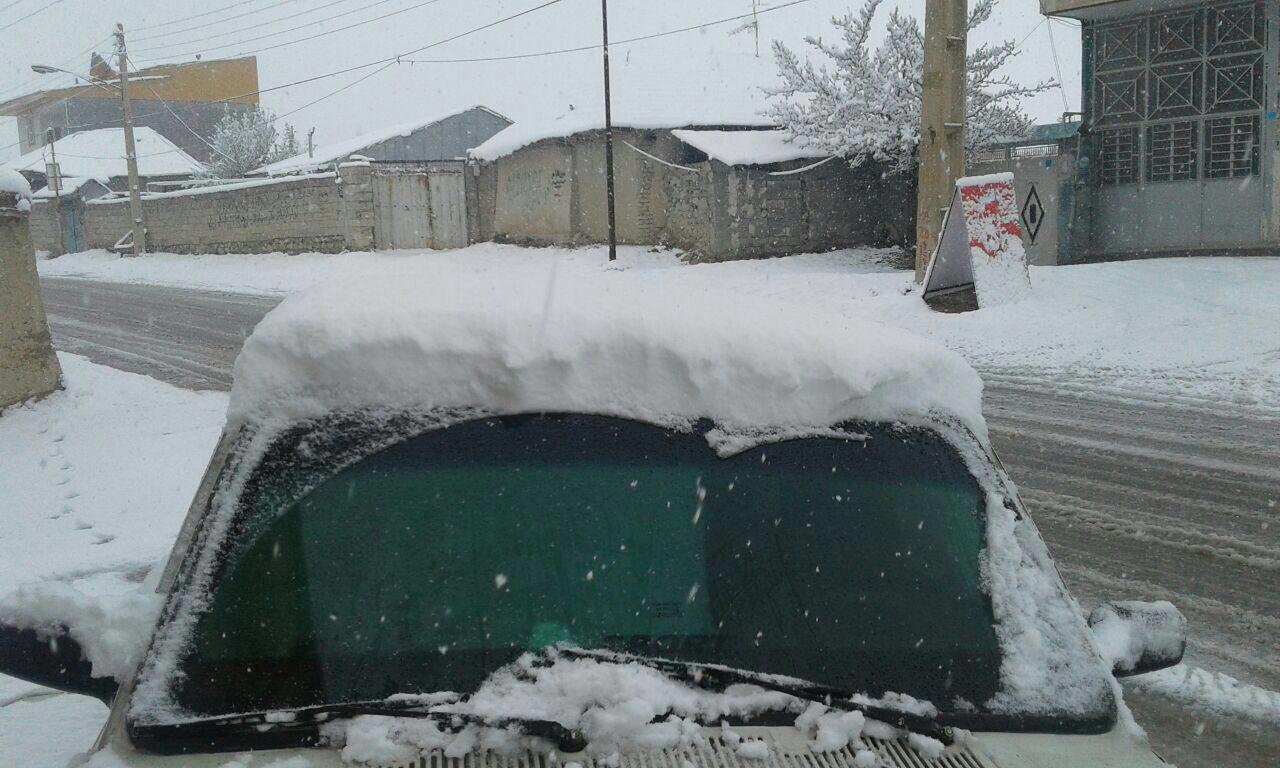 عکس/ بارش برف ١٠ سانتی در فیروزکوه