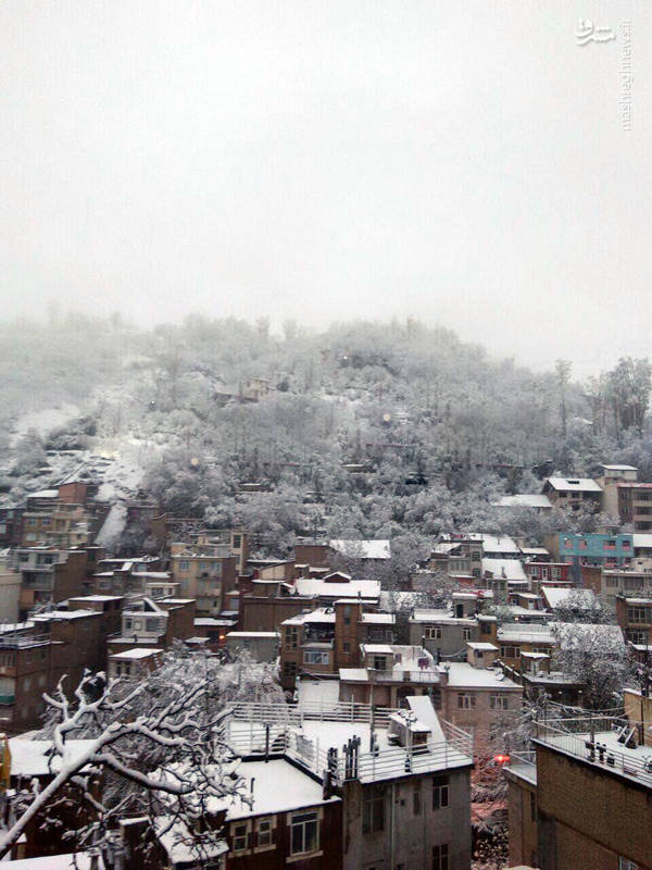 بارش شدید برف در روستای میگون تهران/ عکس
