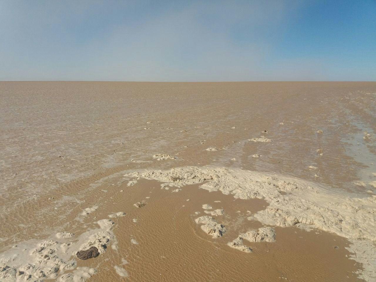 جاری شدن آب در هامون/ استاندار سیستان و بلوچستان: قرار است بخشی از حق آبه ایران در دشت سیستان جاری شود/سیلاب ربطی به حق آبه ندارد+فیم