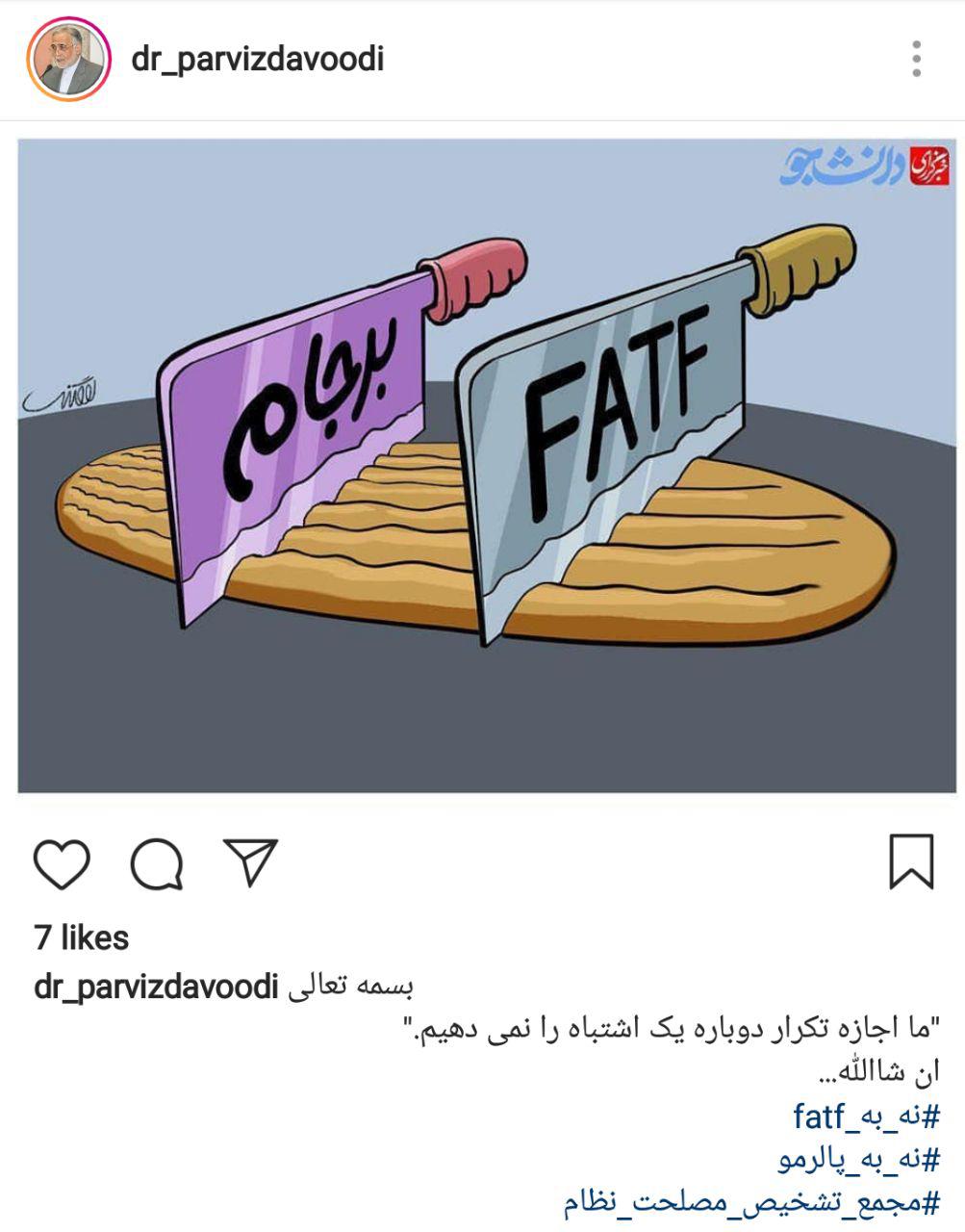 مخالفت وزیر دولت احمدی‎نژاد با تصویب FATF+عکس