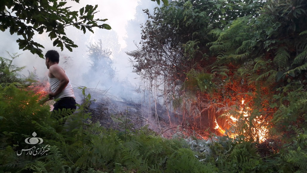 آتش‌سوزی در جنگل‌های لنگرود+عکس