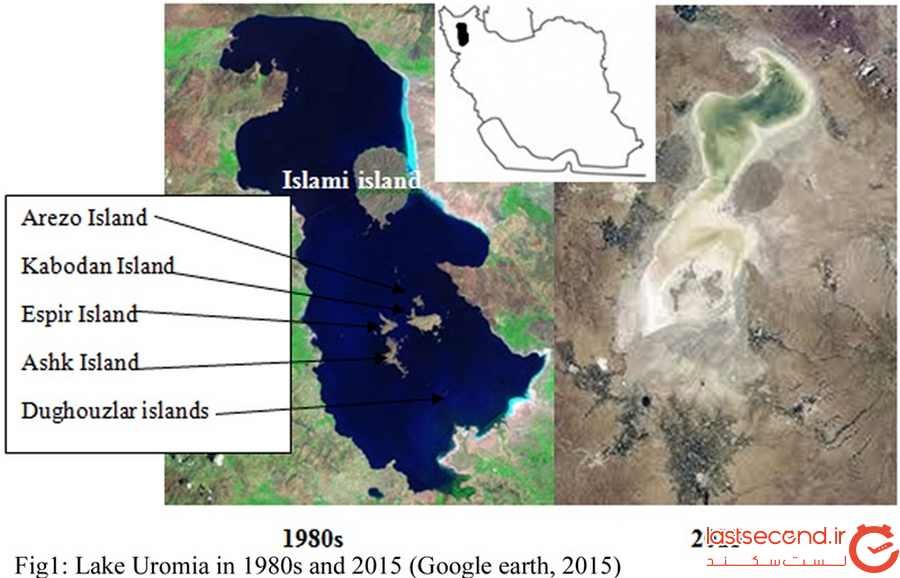 جزیره ی اشک، پناهگاه نادرترین گوزن جهان
