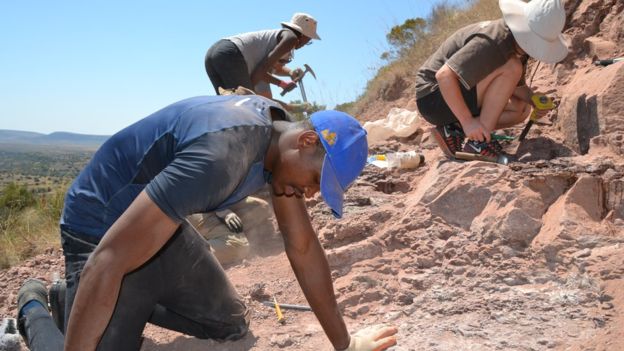 چوپانی در آفریقای جنوبی گورستان دایناسورها را کشف کرد+عکس