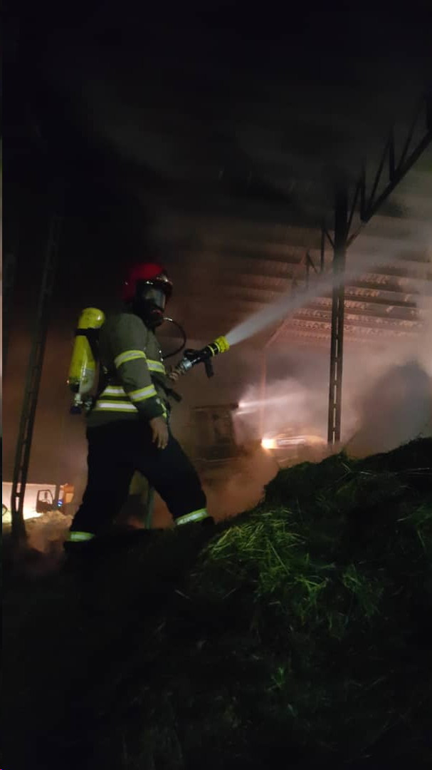آتش‌سوزی گسترده در گاوداری بنیاد مستضعفان+عکس