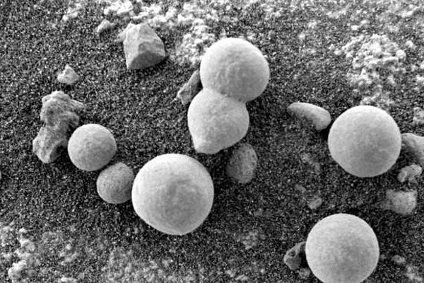 نشانه‌های حیات در مریخ/ تصاویر ناسا از قارچ‌های مریخی