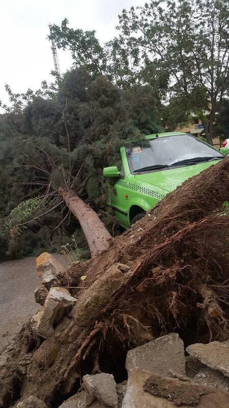 عکس/ سقوط درخت روی خودرو بر اثر طوفان تهران