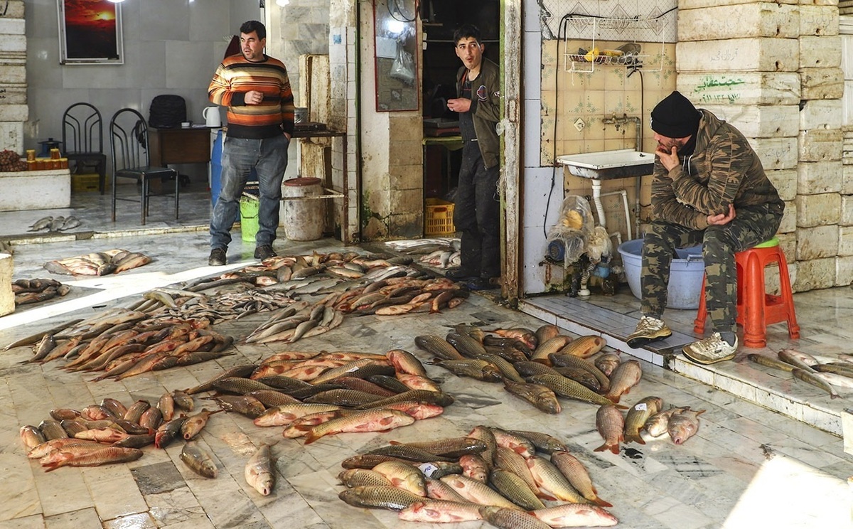 تصاویر| حال و هوای بازار ماهی بندر ترکمن