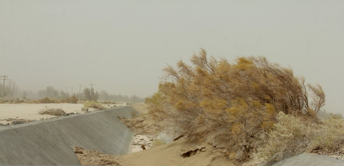 تصاویر| خشکسالی و مشکلات آن در منطقه سیستان