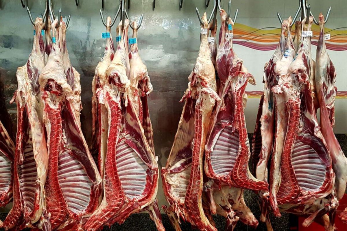 افزایش عرضه گوشت قرمز در شب عید
