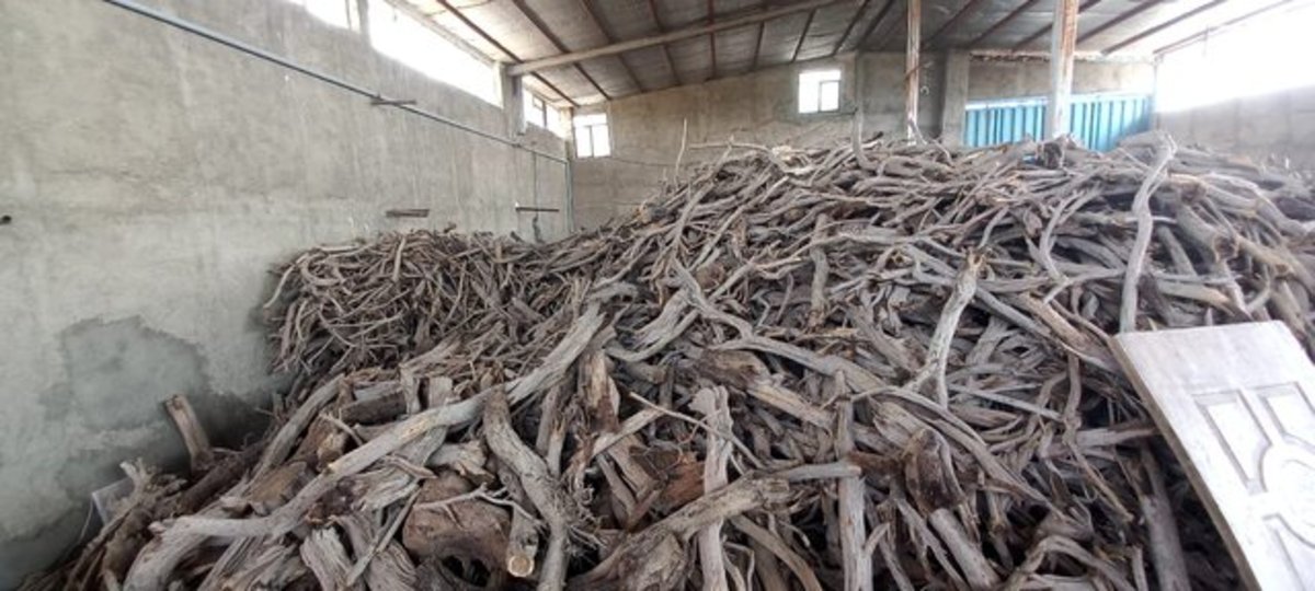 ۳۰ تن چوب قاچاق در شهریار کشف شد