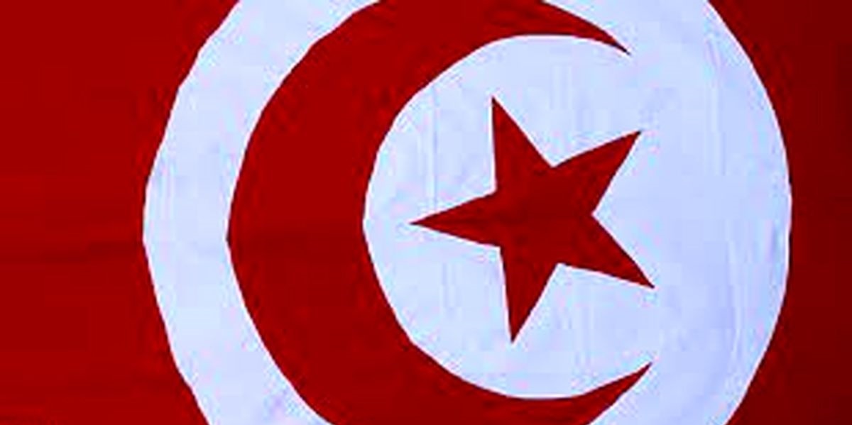 همه‌پرسی غیرقانونی در تونس را تحریم می‌کنیم