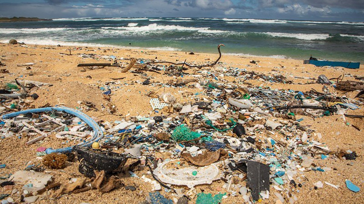 فیلم| پاکسازی ساحل از زباله