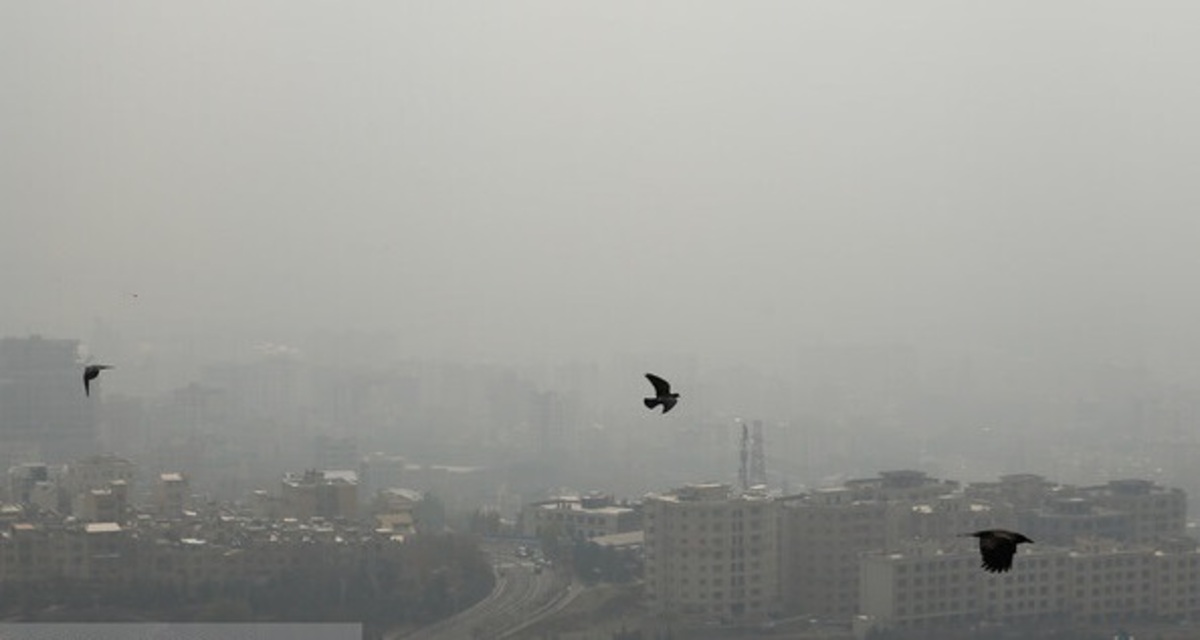 آلودگی هوای تهران طی دو روز آینده/کاهش دما تا ۴ درجه از امشب