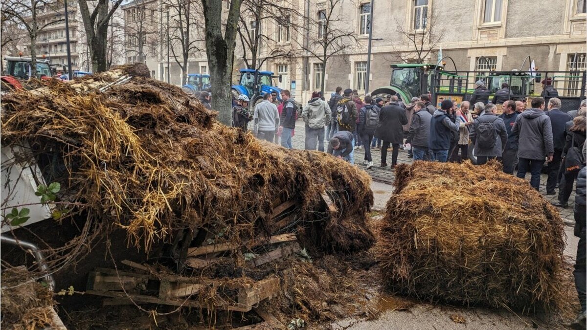 فیلم| کشاورزان معترض آلمانی وسط خیابان کود خالی کردند