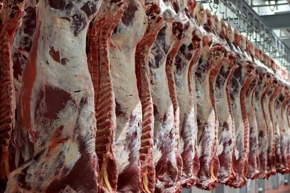 وزارت جهاد: قیمت گوشت در بالاشهر تهران ۷۰۰ و پایین شهر ۶۲۰ هزار تومان است!