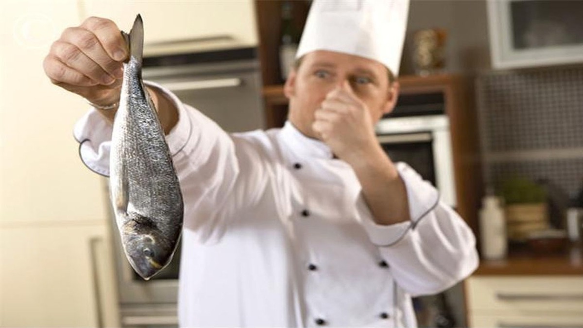 بوی بد ماهی ناشی از چیست؟