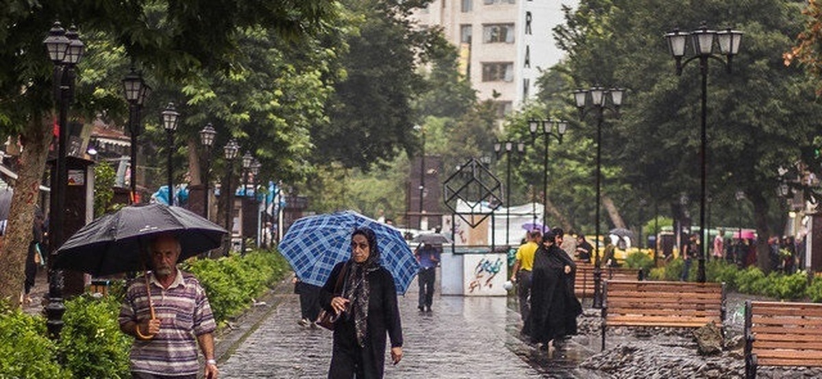 باران شدید در استان فارس+فیلم