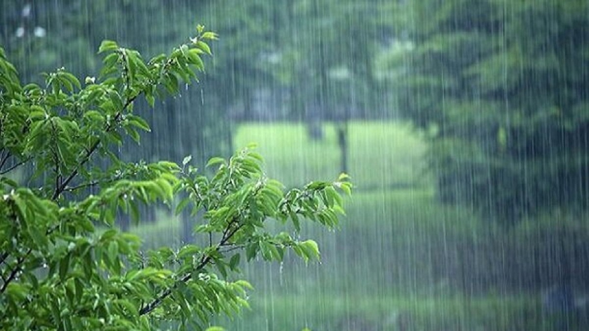 هواشناسی/ پیش بینی بارش ۵ روزه باران در برخی استان‌ها